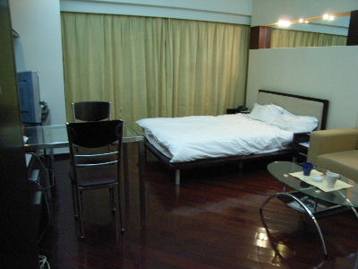 Hier werde ich nun f&uuml;r die n&auml;chste vier Monate wohnen und habe damit einen echten Gl&uuml;cksgriff gelandet. Die Wohnung ist etwa 50qm gro&szlig; und besteht (au&szlig;er dem Raum hier auf dem Bild) noch aus einer kleine K&uuml;che und einem Badezimmer